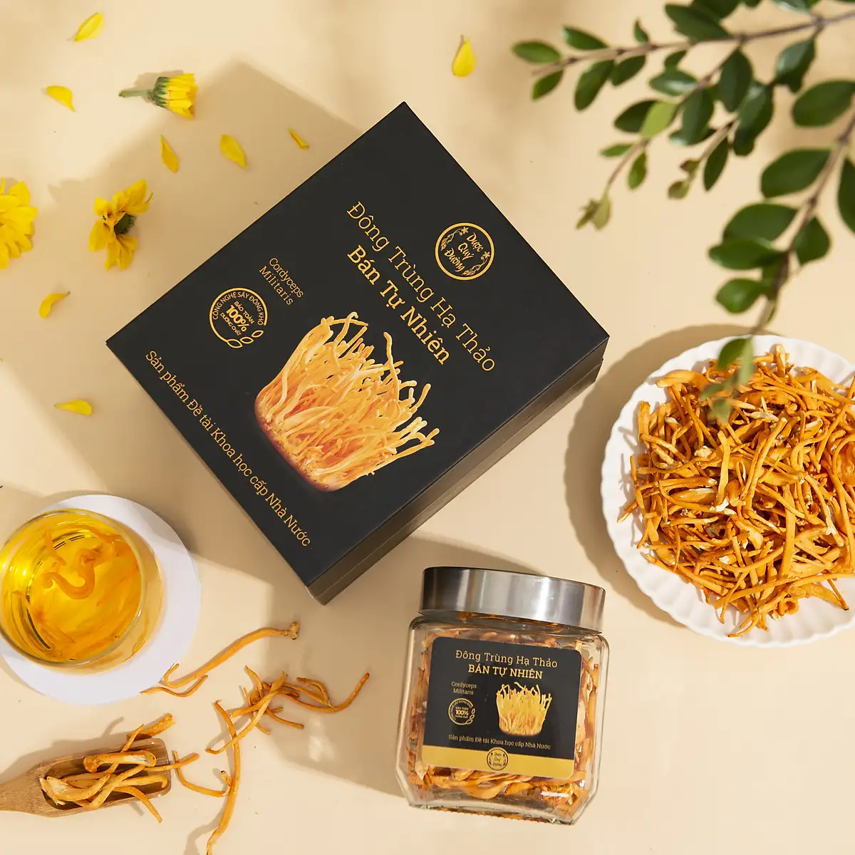 Hộp đông trùng hạ thảo