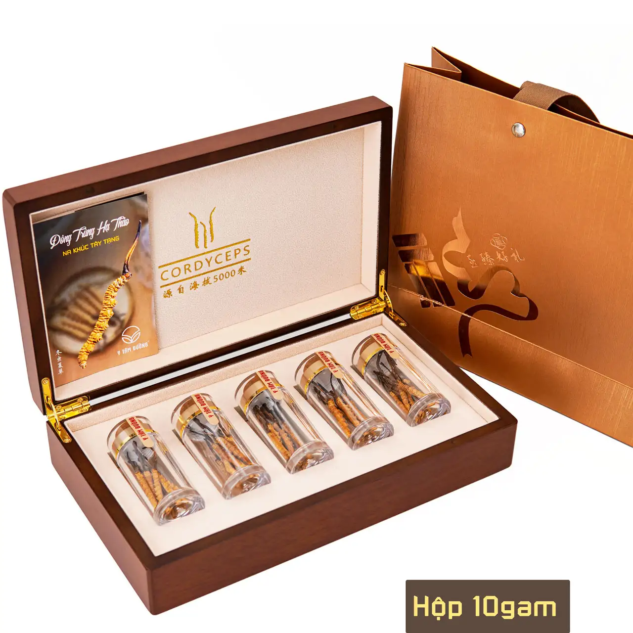 Túi đựng đông trùng hạ thảo